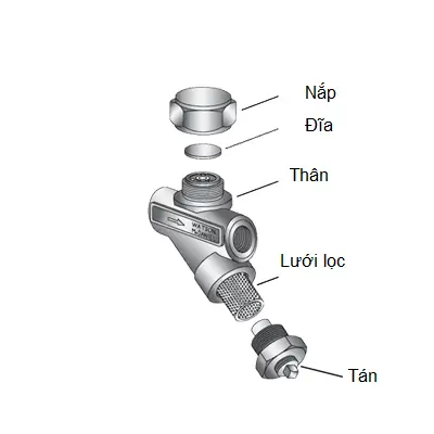 bẫy hơi đồng tiền