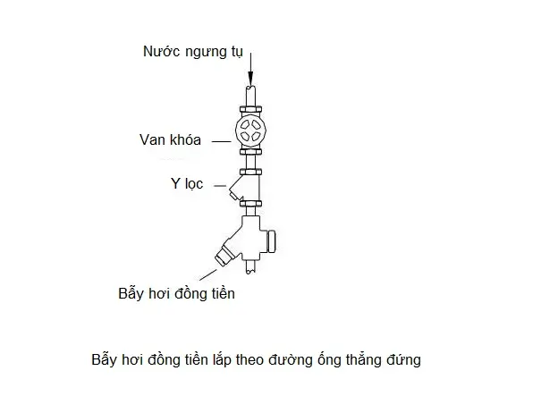 sơ đồ lắp đặt bẫy hơi đồng tiền